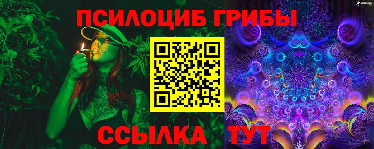 Галлюциногенные грибы мицелий  Псилоцибиновые грибы мицелий  Вход с VPN  Обнинск 